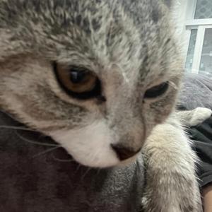 เห็นเธอแล้วใจมันเอ๋อ