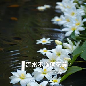 流水不懂落花意