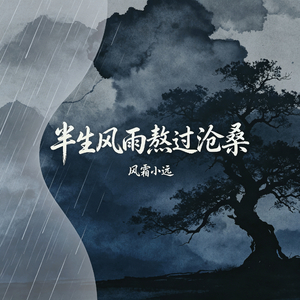 半生风雨熬过沧桑