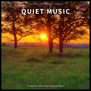 Relaxing Music for Cats