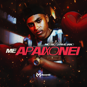 Me Apaixonei