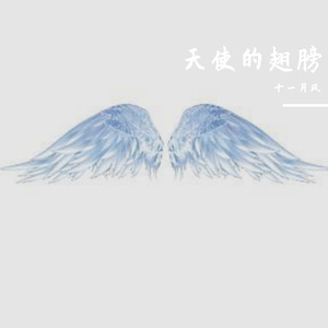 天使的翅膀