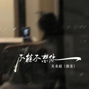 不能不想你 (路宝版伴奏)