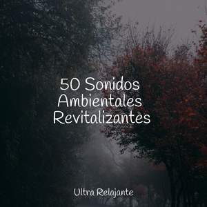 Evolución Armoniosa