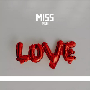 黒羽-Don’t stop（黒羽 remix）