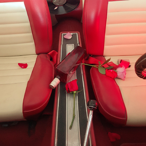 Backseat