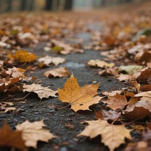 以后的以后 (Cover 庄心妍)