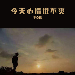 今天心情很不爽 演唱