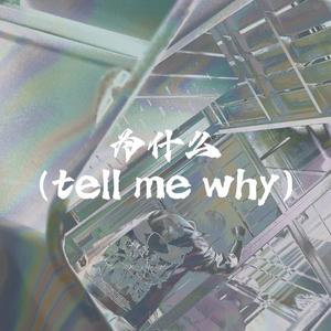为什么（tell me why）