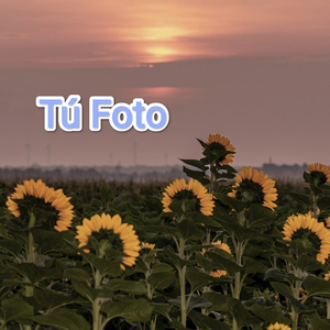 Tu Foto