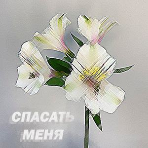 Спасать меня