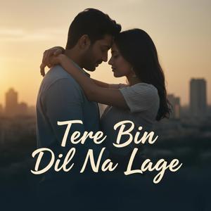 Tere Bin Dil Na Lage
