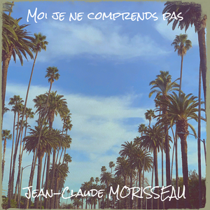 Moi je ne comprends pas