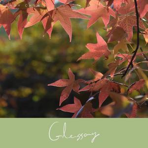 Glossary #2
