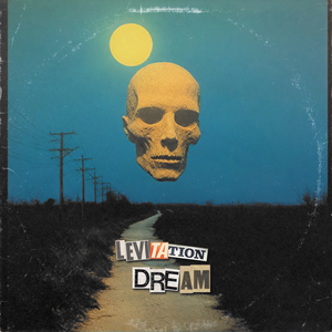 Noise of Destroying Realm