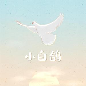 小白鸽