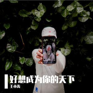 好想成为你的天下