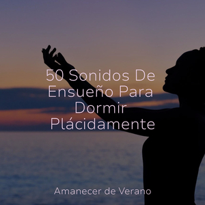 Melancólica Melodía del Vuelo Etéreo