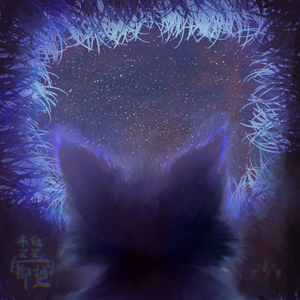 来自星星的仰望