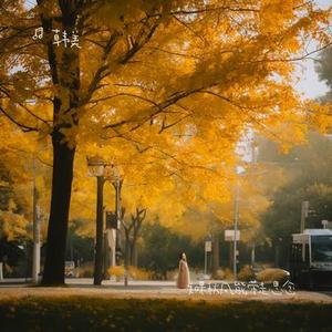 如果秋风能带走思念