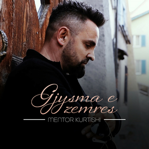 Gjysma e zemres