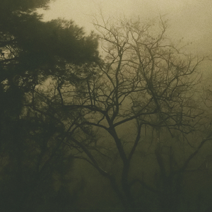 Zahiri Ruhum Zuhur Eder Çürüyen Benliğine