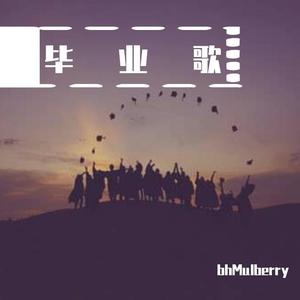 再见湖大