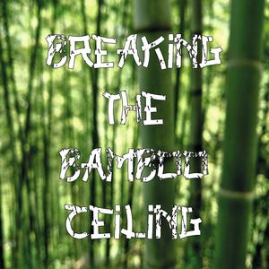 Breaking The Bamboo Ceiling