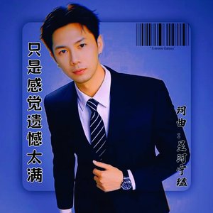 只是感觉遗憾太满