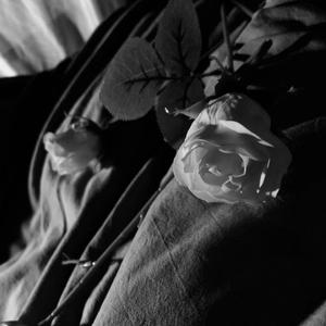 你怎么蠢到我喜欢你都不知道（cover邹念慈）