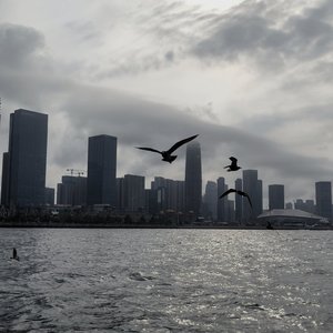疏离、怪异、神经质