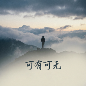 可有可无