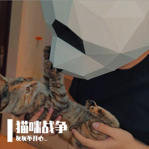 猫猫
