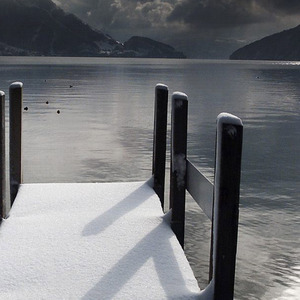 成功不是先有钱而是先有胆