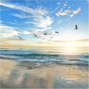 자유 Freedom