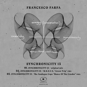 Synchronicity 13 (The Analogue Cops Dance Of The Condor Remix)