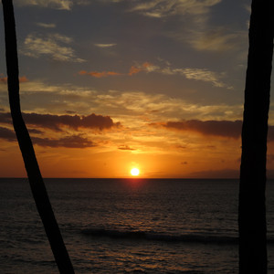 Send Me Some Pictures