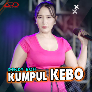 Kumpul Kebo