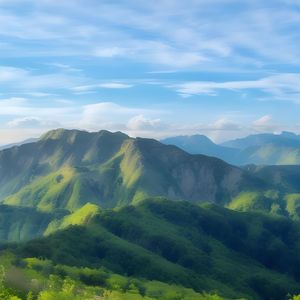 心曲追随
