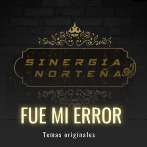 Fue Mi Error