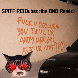 SPITFIRE (Dubscribe DNB Remix)