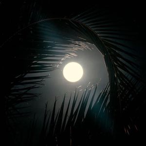 免费中国风伴奏_''Moonlight | 月光'' Kaycyy/Gunna Type Beat