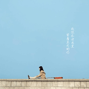 鹌鹑（Cover 辛七一）