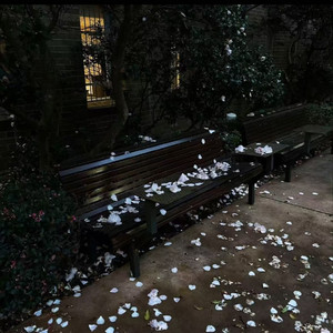 爱本就转瞬即逝