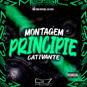 Montagem Principie Cativante