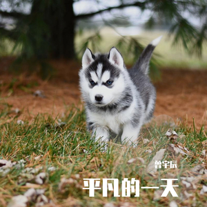 无问