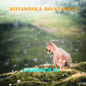 Kotambola bo-ntaba te
