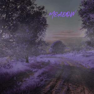Meadow (Radio Edit)