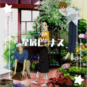 星屑ビーナス