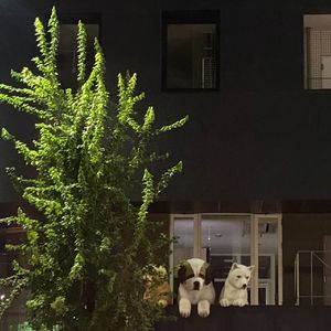 没来由的浪漫（beat）